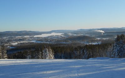 Miljörapport fjärrvärme 2016